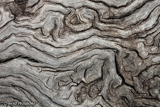 Driftwood