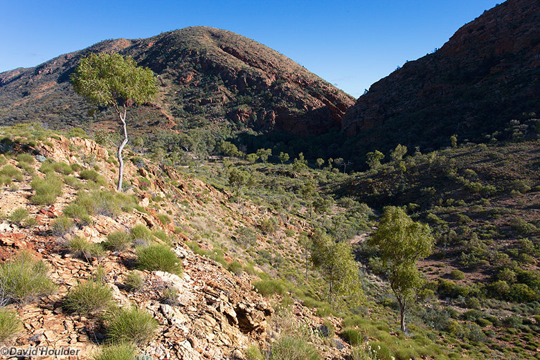 Leaving Ellery Creek
