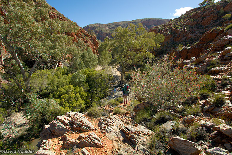 Hugh Gorge