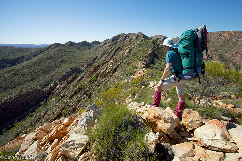 On Razorback Ridge