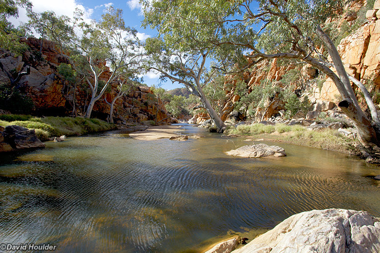 Fish Hole