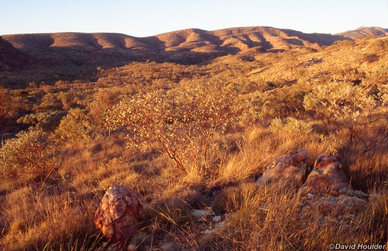 Foothills of Mt Sonder
