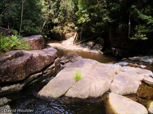Washpool Creek (Click for larger image) Washpool Creek