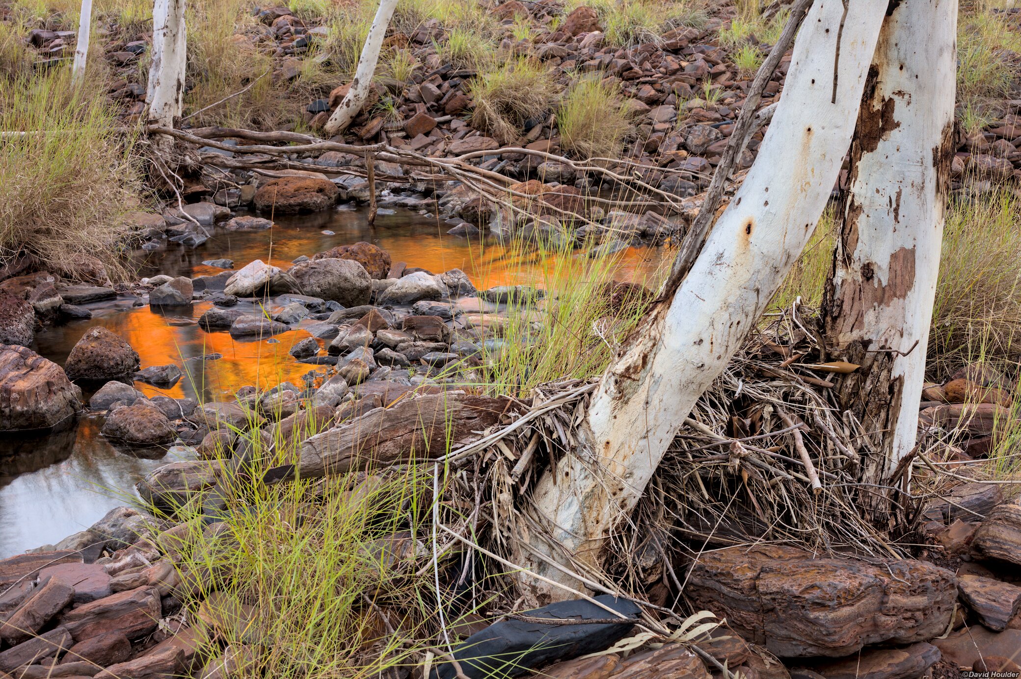 A small stream with rocks, grass, tree-trunks and flood debris in the foreground.