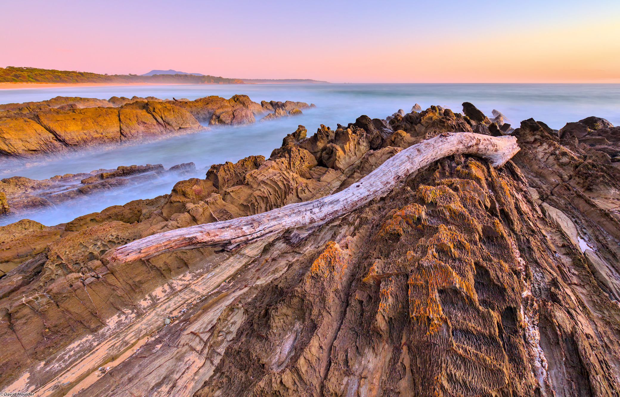 A weathered tree trunk sitting on a rocky outcrop with the ocean in the background