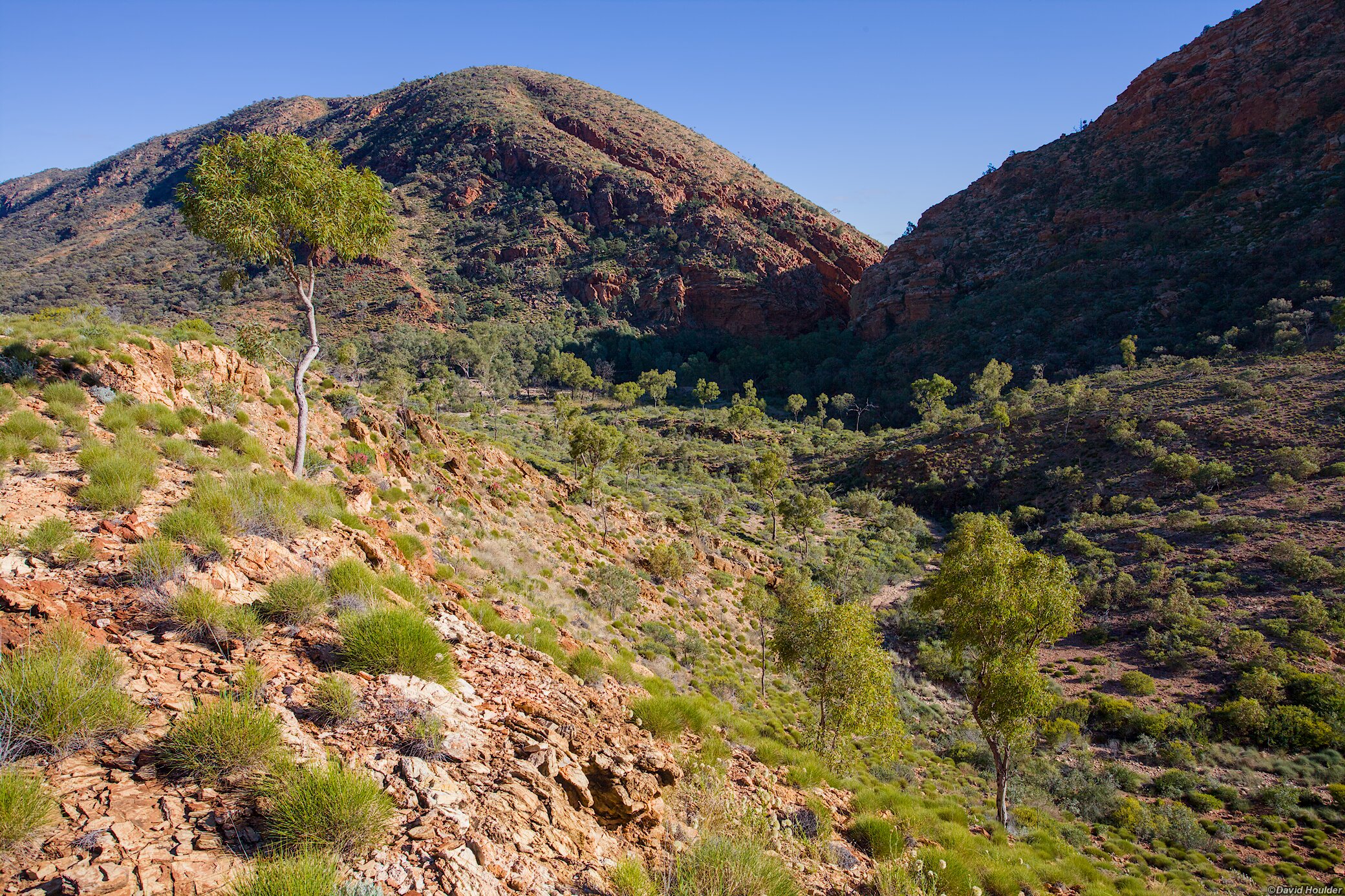 Leaving Ellery Creek