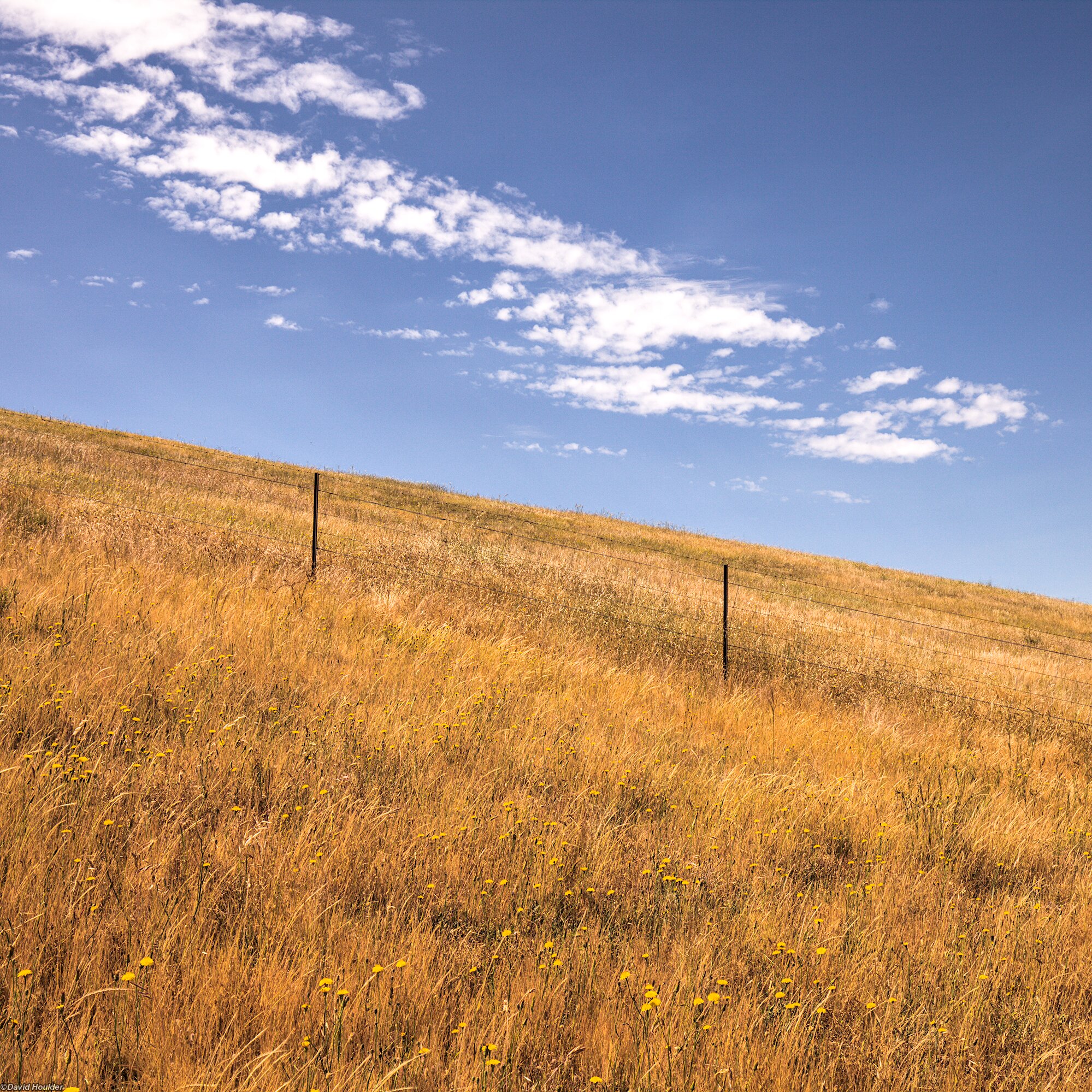 images/field-and-sky_3.jpg images/field-and-sky_3.jpg
