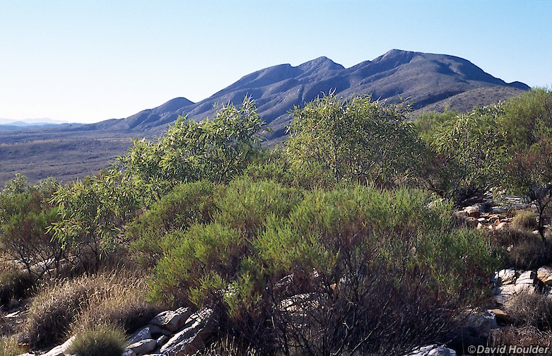 Mt Sonder from the west 