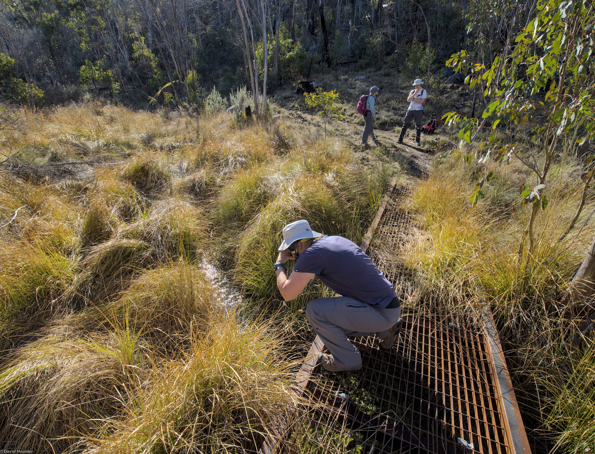 On the track to Nursery Swamp