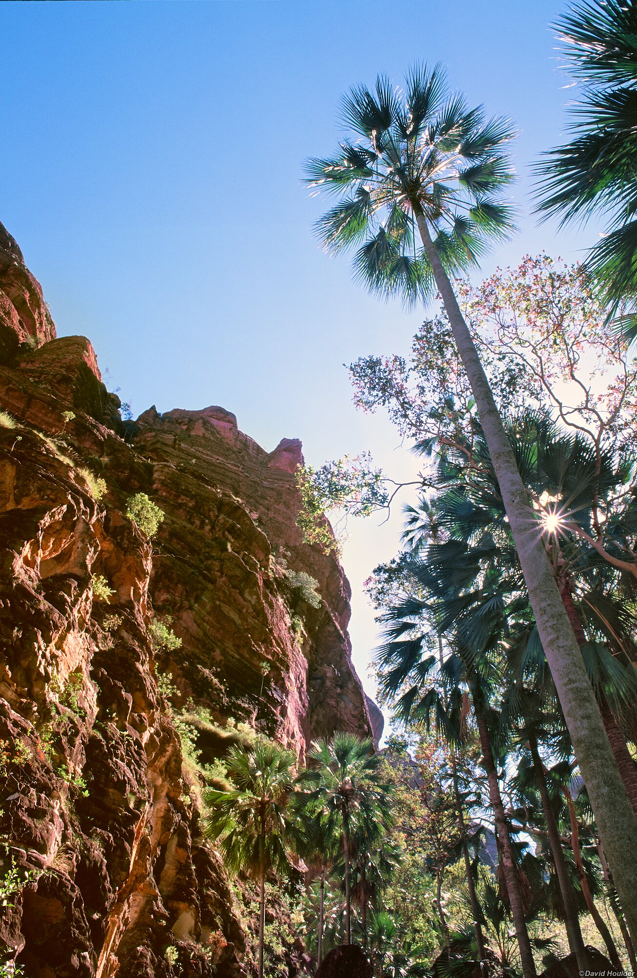 Top end of Piccaninny Gorge