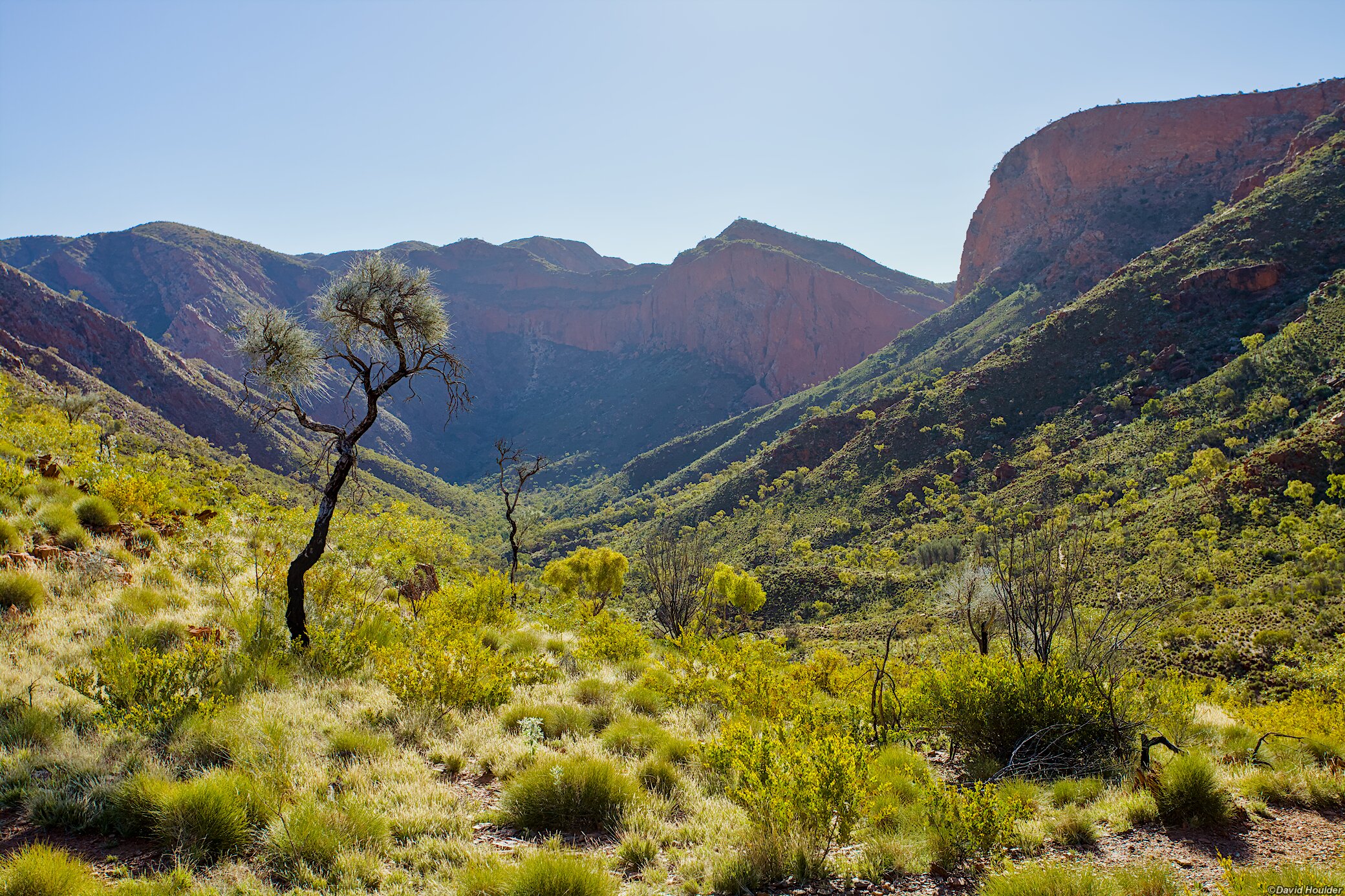 View from Rocky Saddle