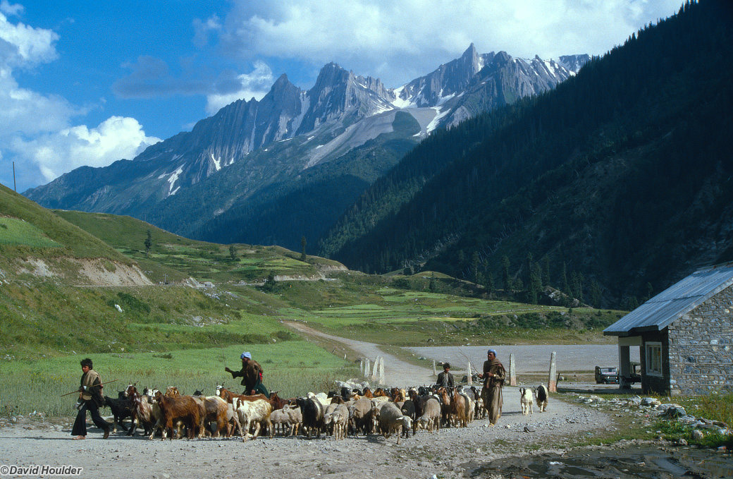 Srinagar to Leh 1