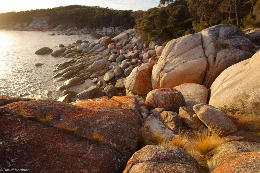 Bay of Fires #2