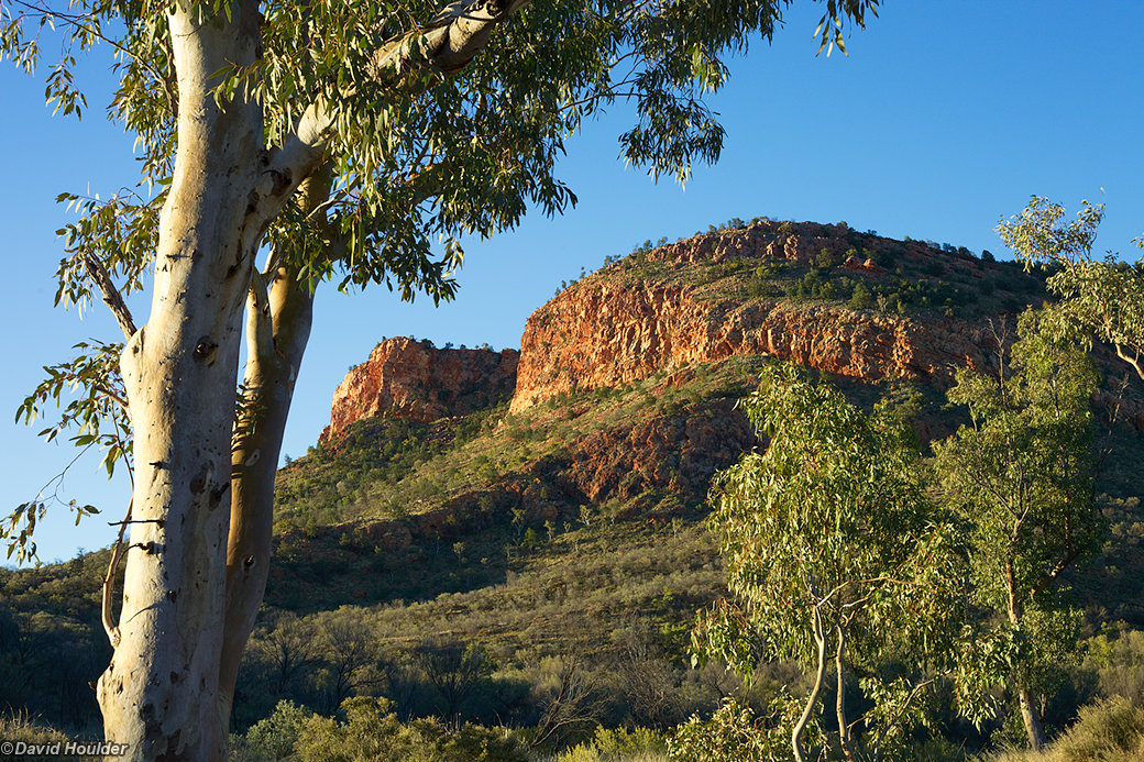 Arenge Bluff from campsite