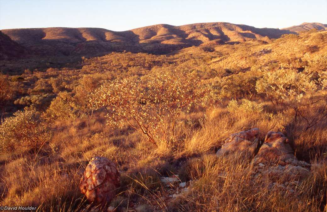 Foothills of Mt Sonder