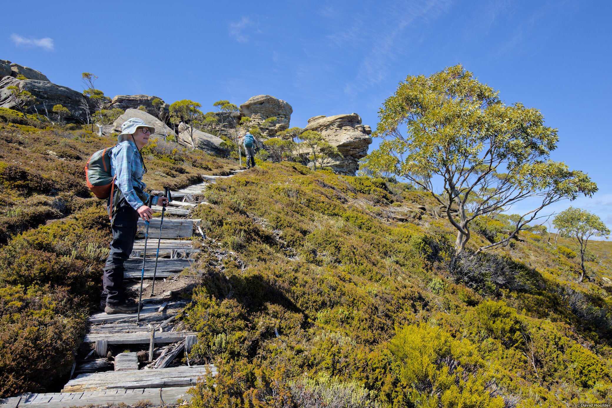 Ascending Mount Rufus