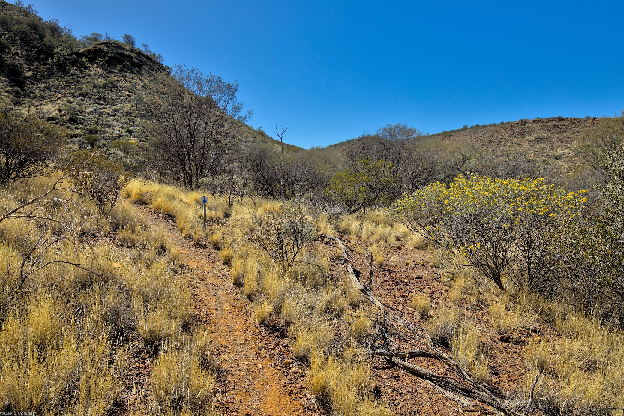 Ascending to the ridge