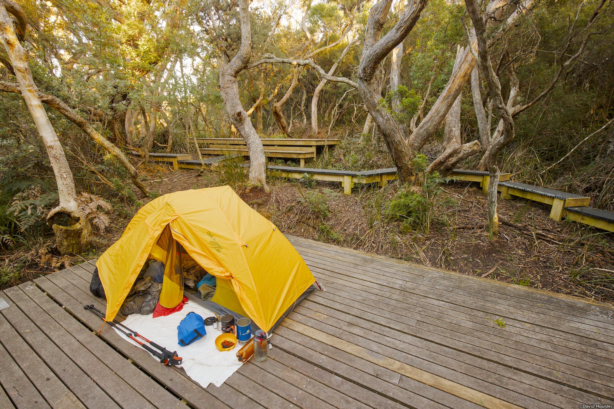 Bare Knoll campsite
