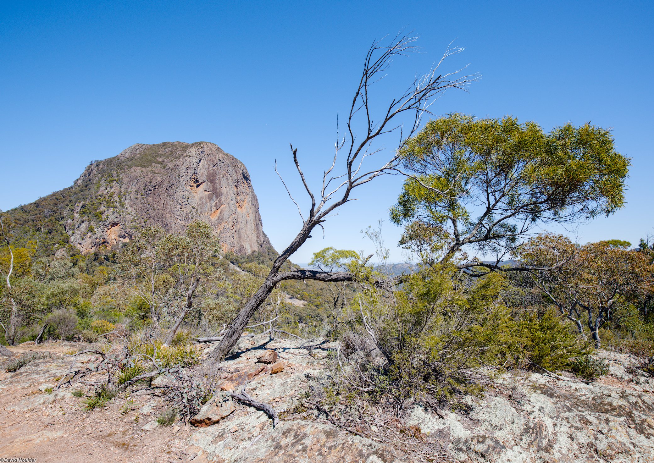 Bluff Mountain