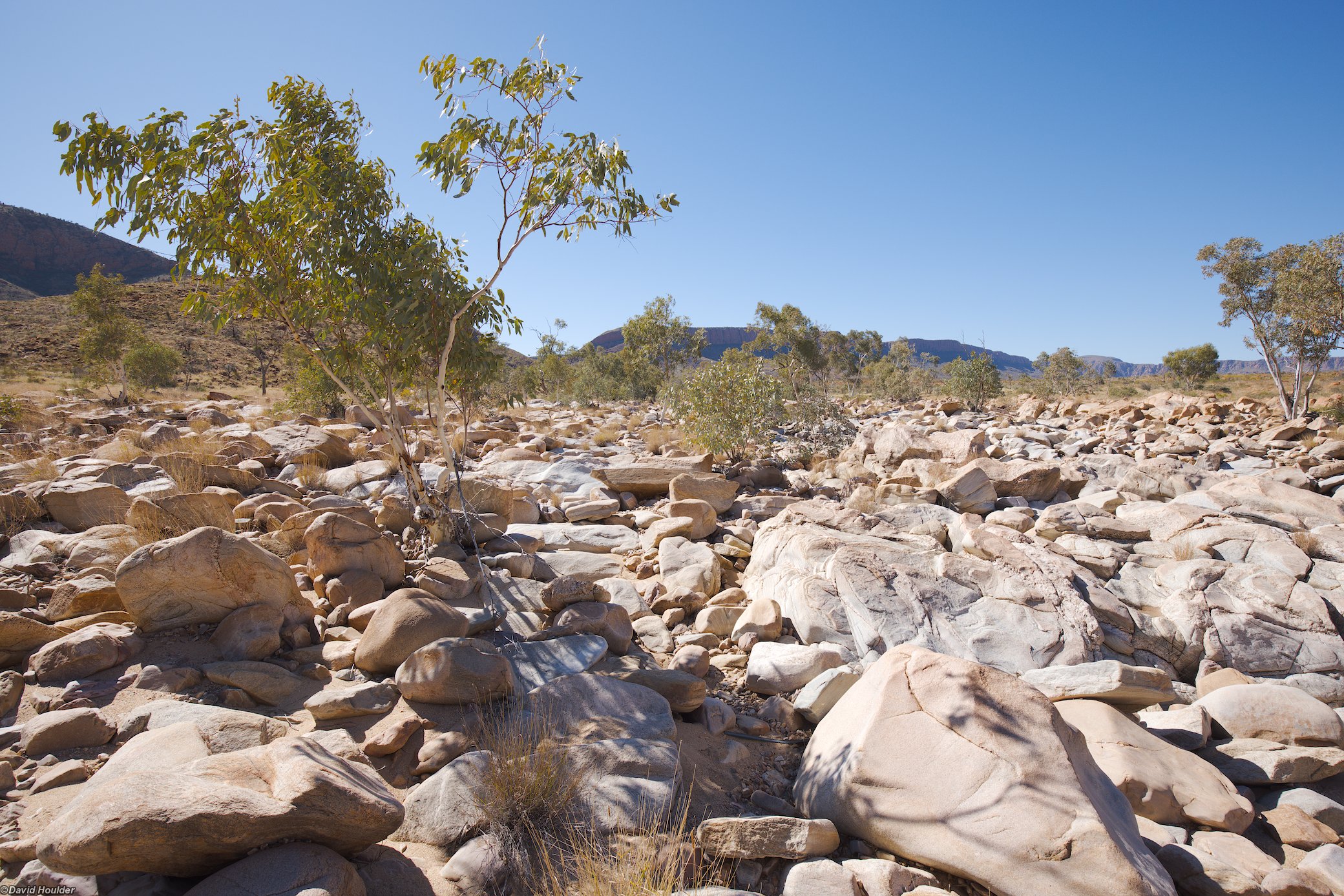 Boulder field