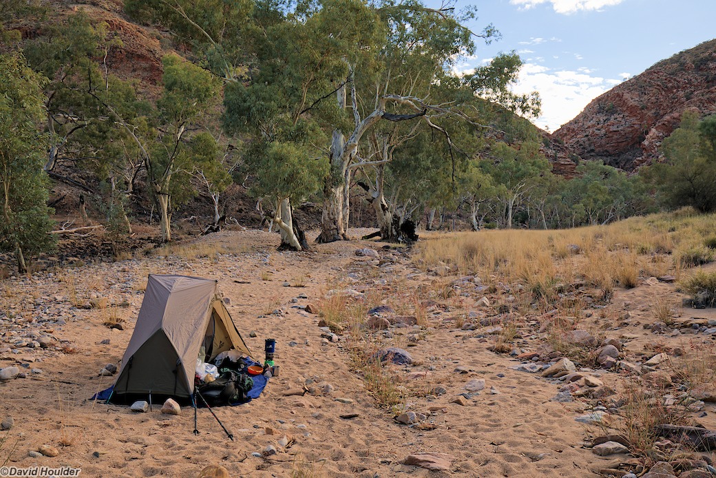 Camping at Ellery Creek