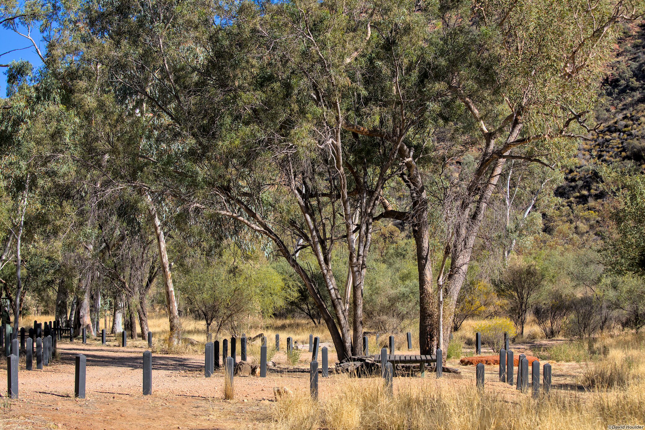 Campsite at the Trephina Bluff campground