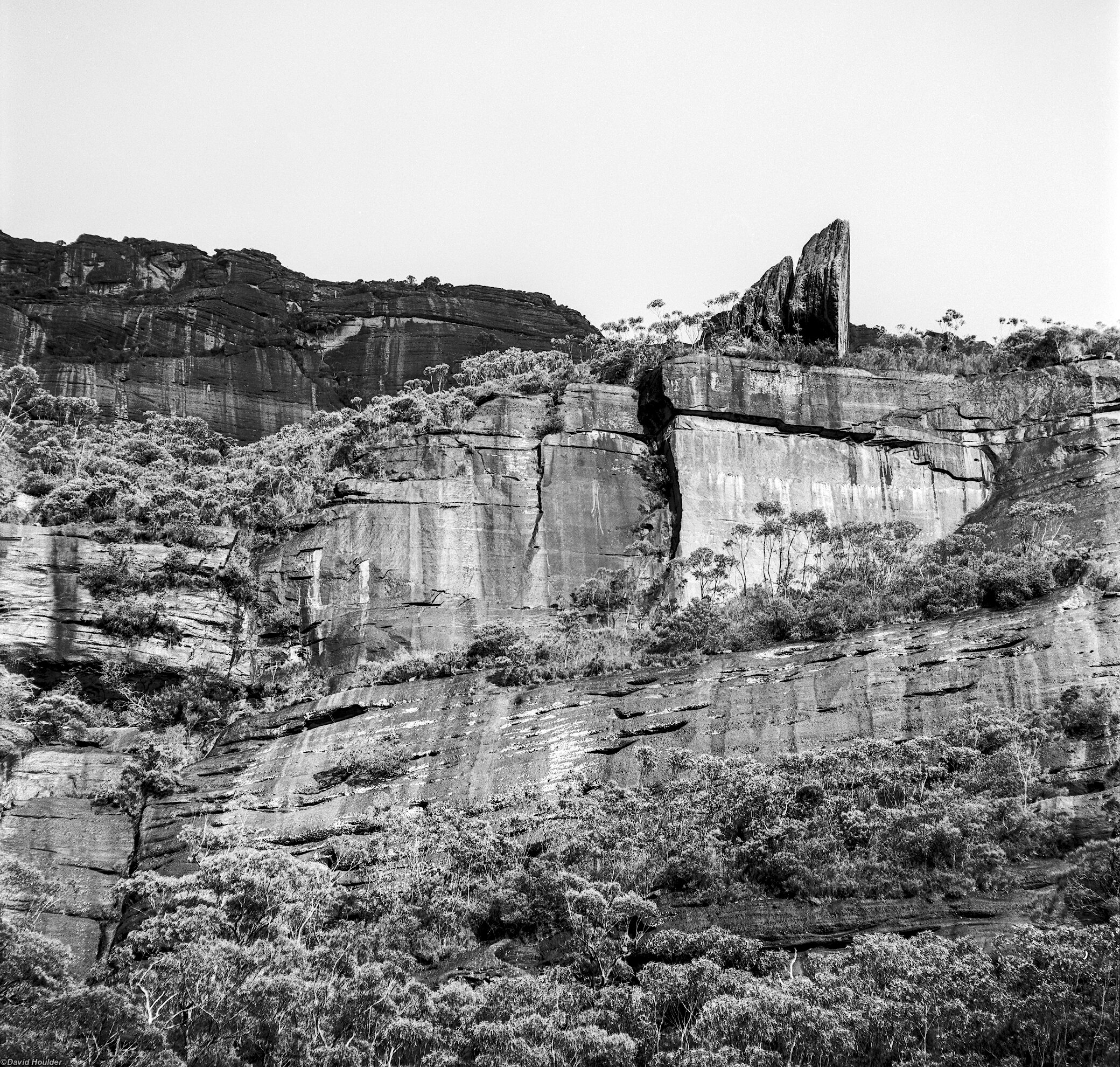 View of a rugged cliff face with small trees growing on ledges and a thin vertical rock formation