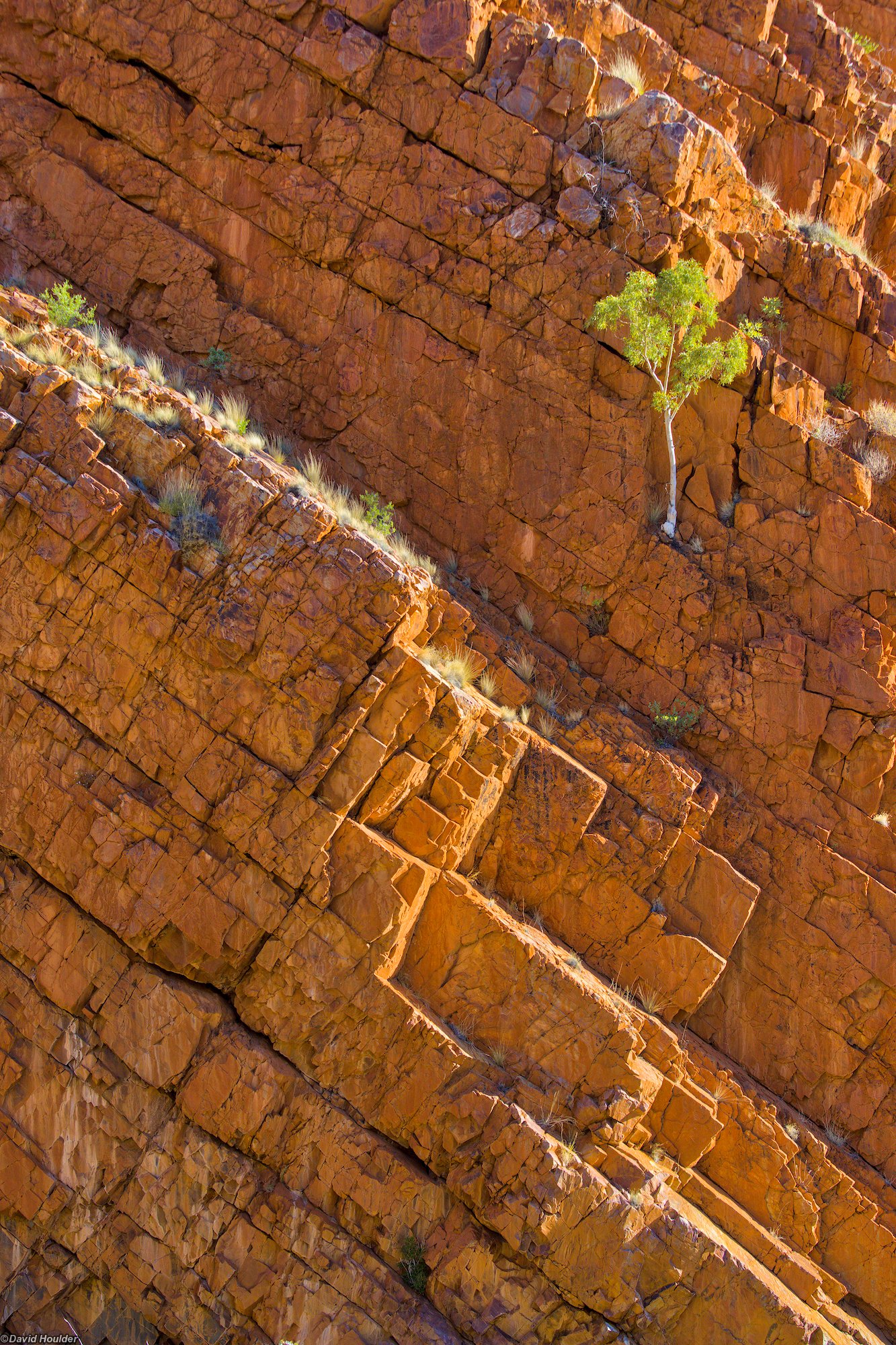 Cliff face at Bowmans Gap