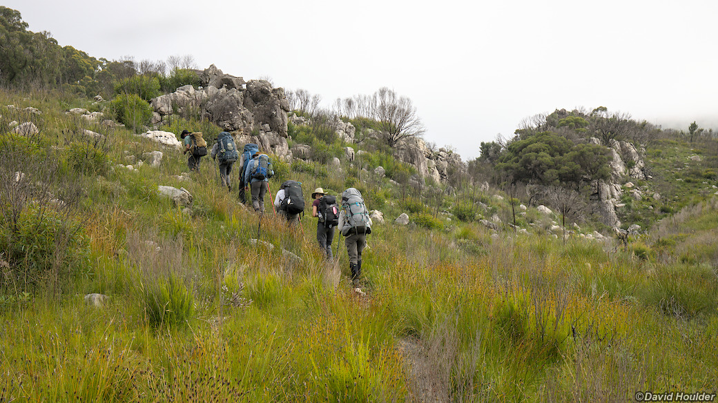 Following Canowie Brook