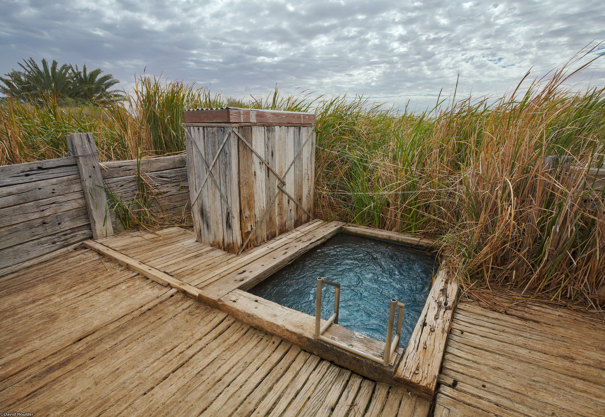Coward Springs spa pool Oodnadatta Track