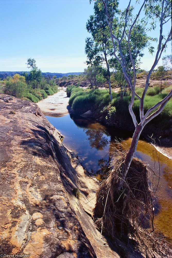 Creek in the dry season