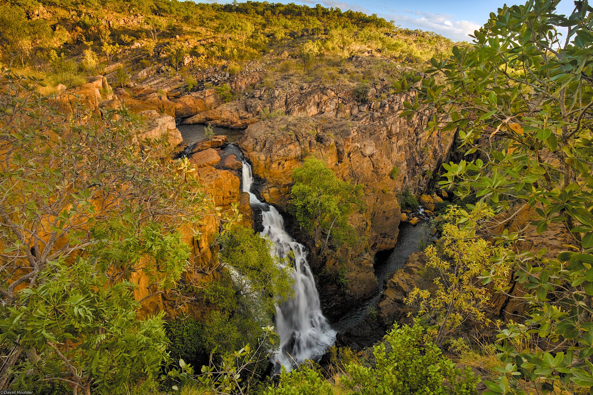 Waterfall with shrubs in the foreground