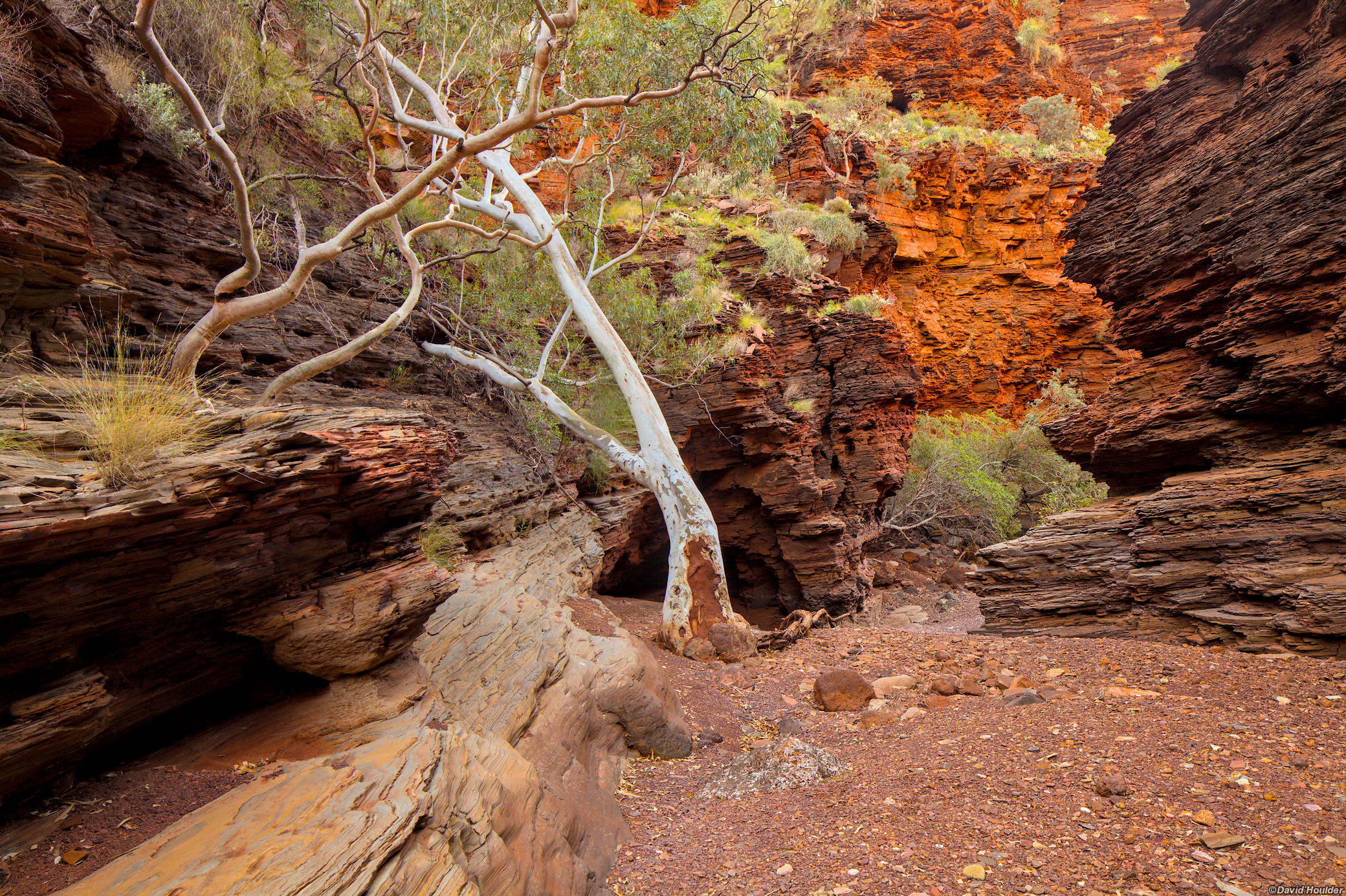 Leaving Dales Gorge