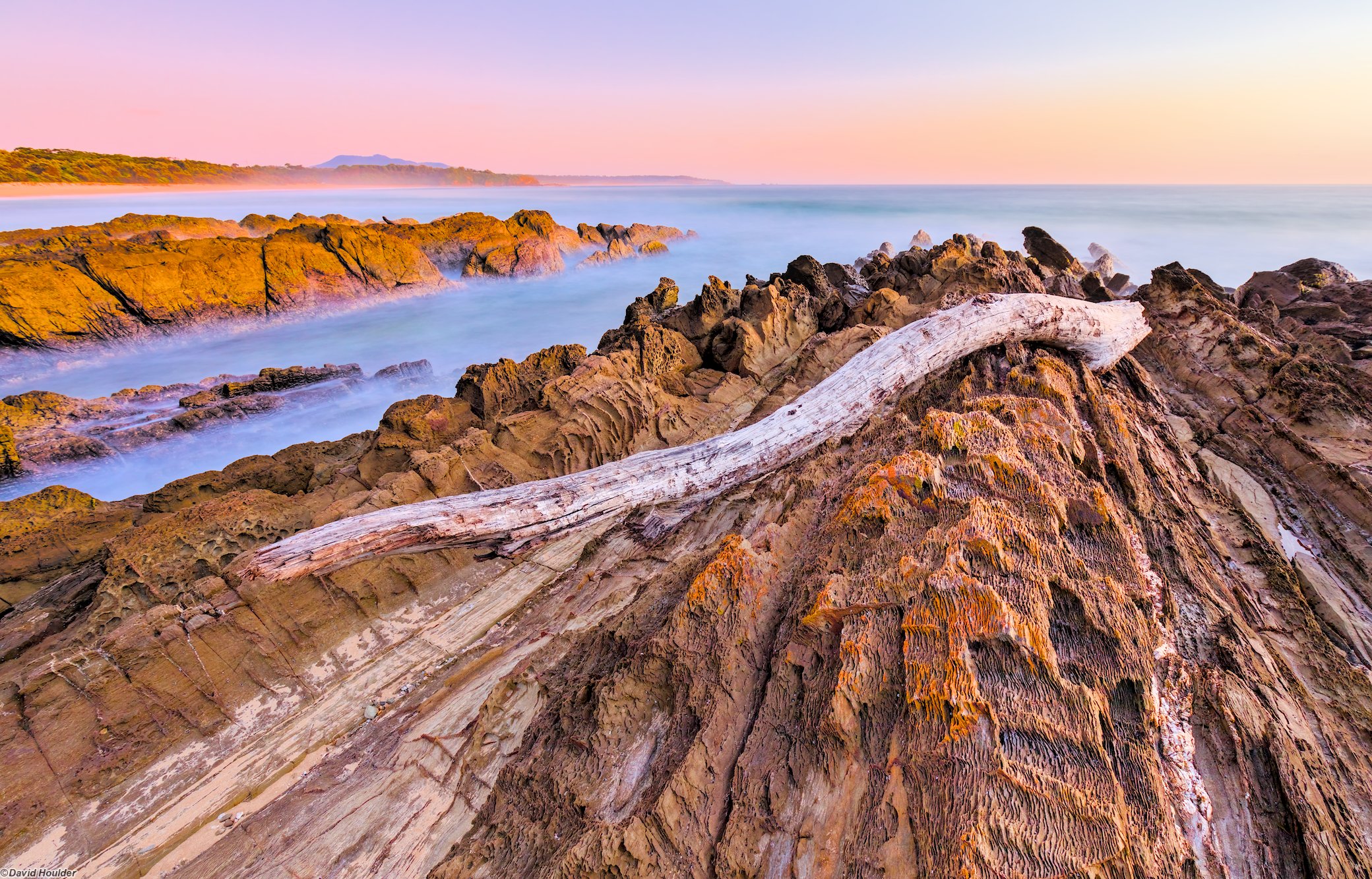 A weathered tree trunk sitting on a rocky outcrop with the ocean in the background