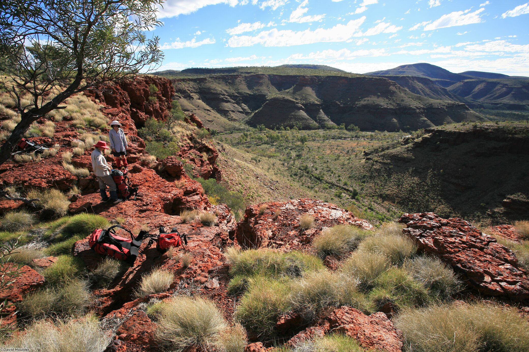 Looking into Dales Gorge