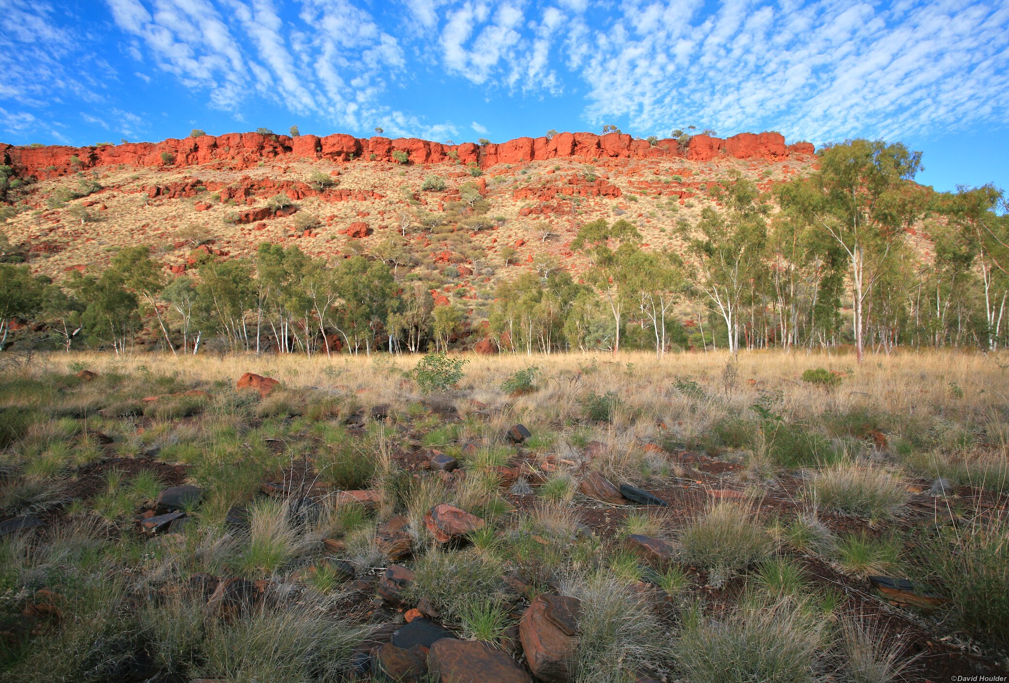 Day 2 - In Dales Gorge