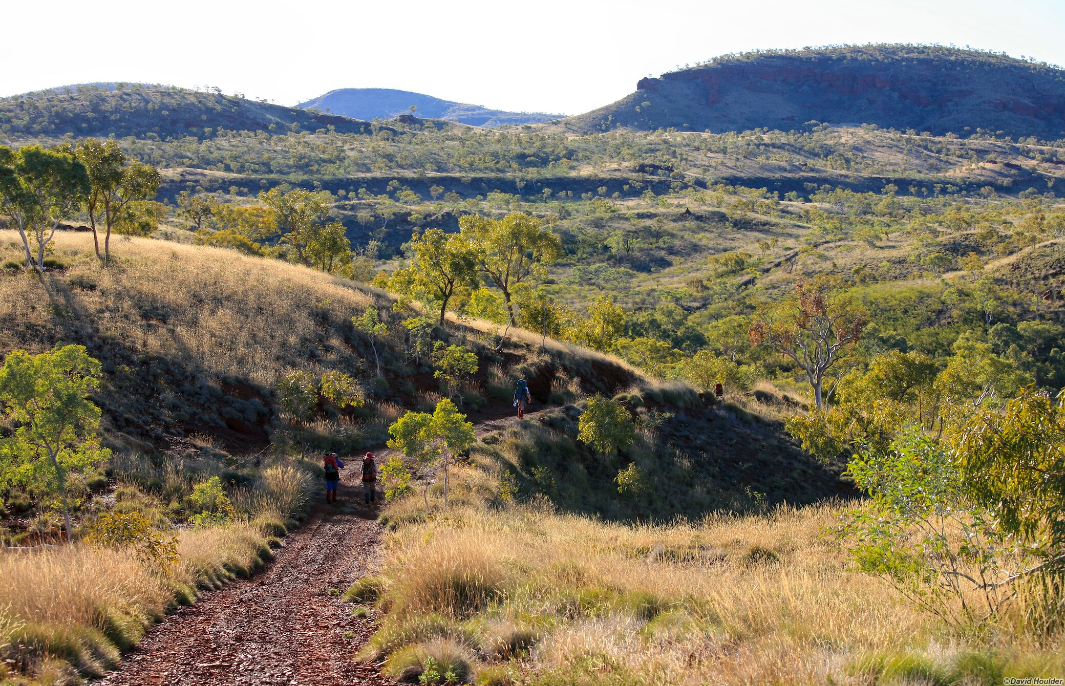 Walking to Bee Gorge