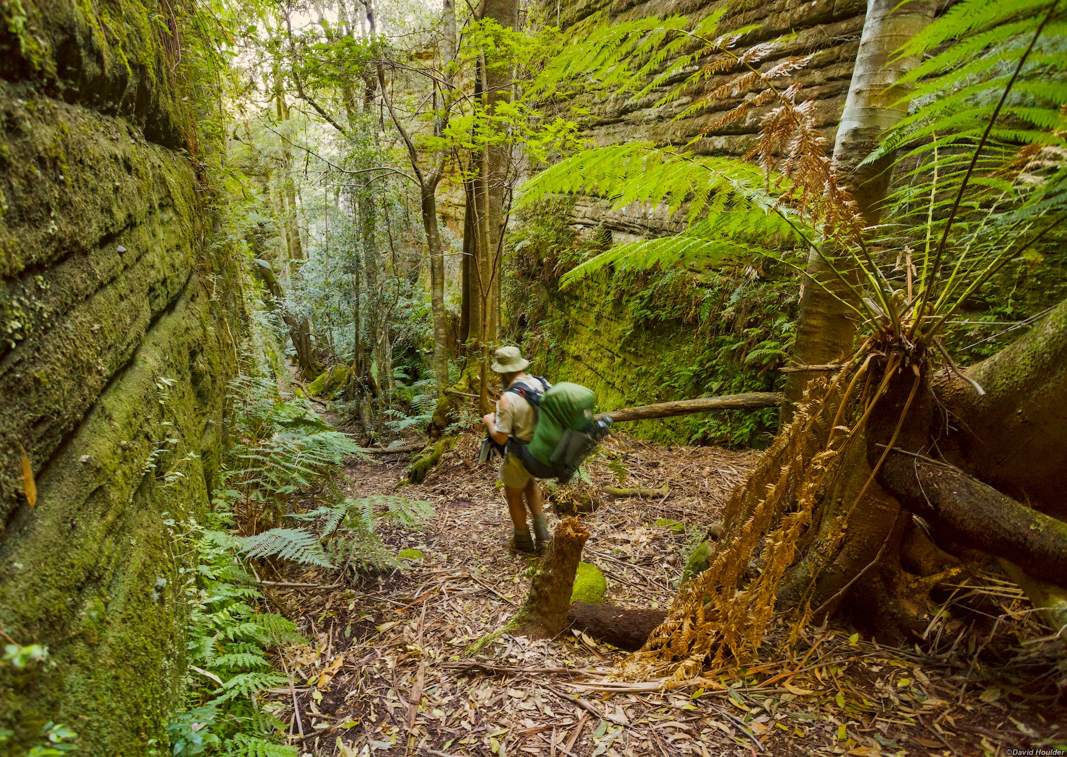 Descending into the Green Room