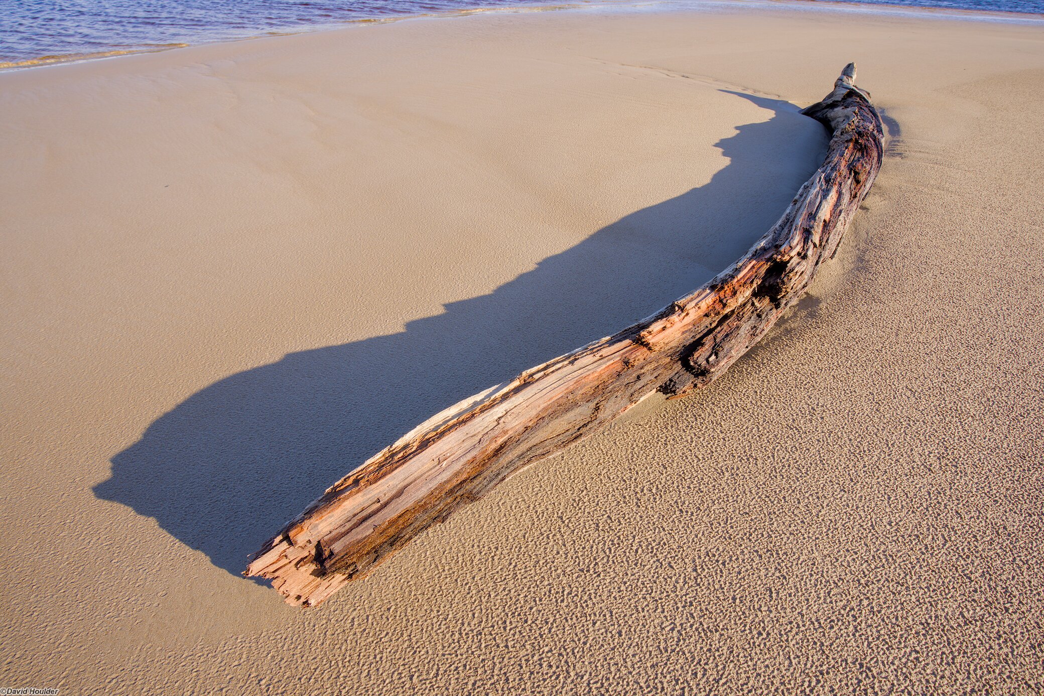 Driftwood