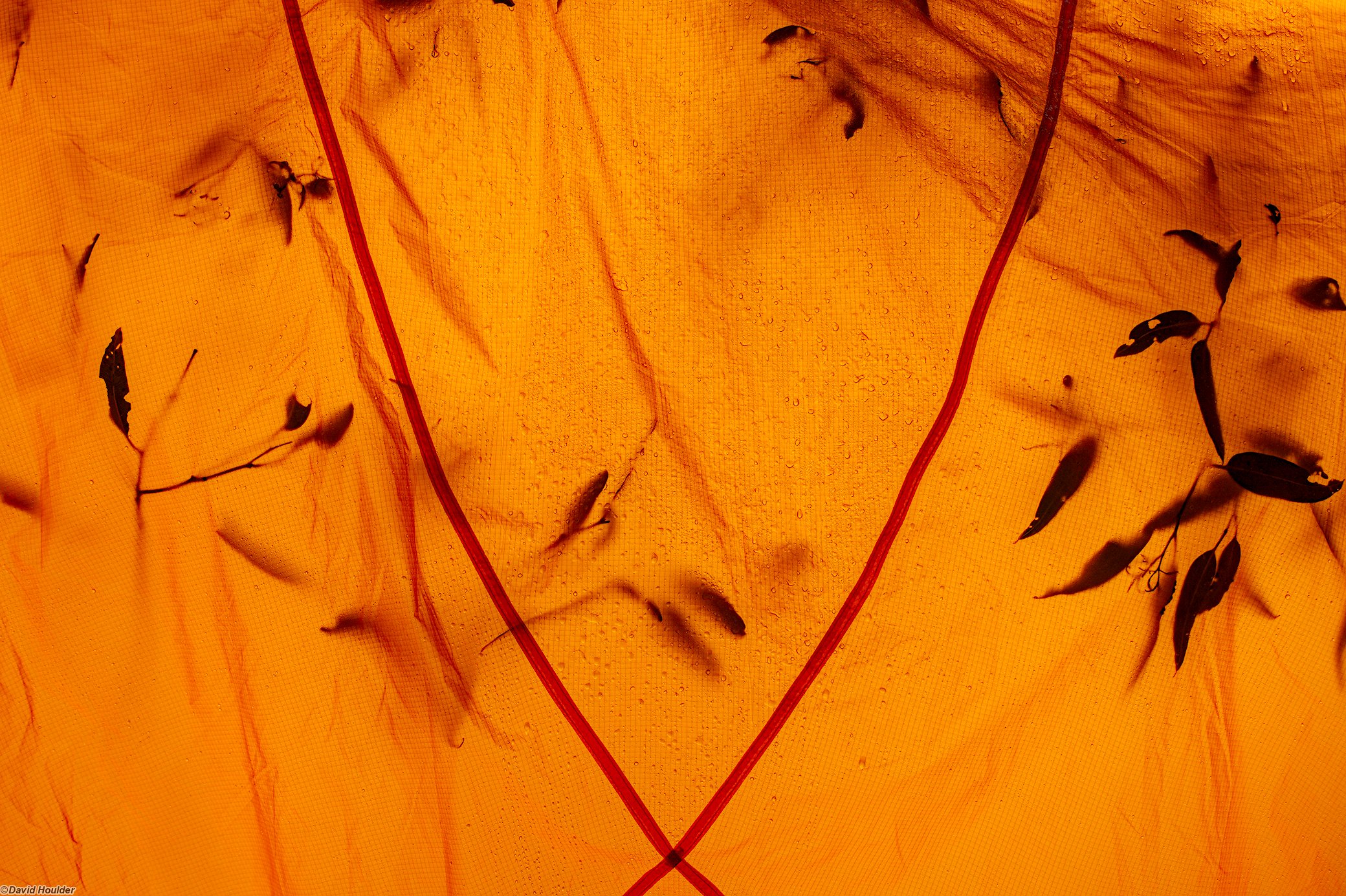 Drying tent fly