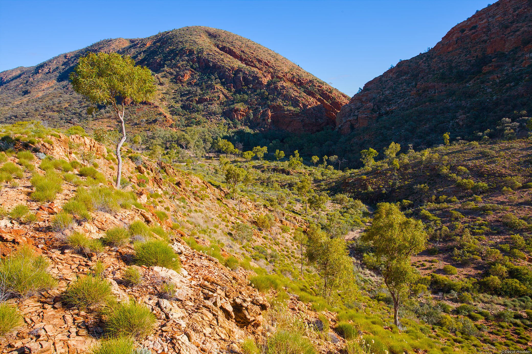 Leaving Ellery Creek