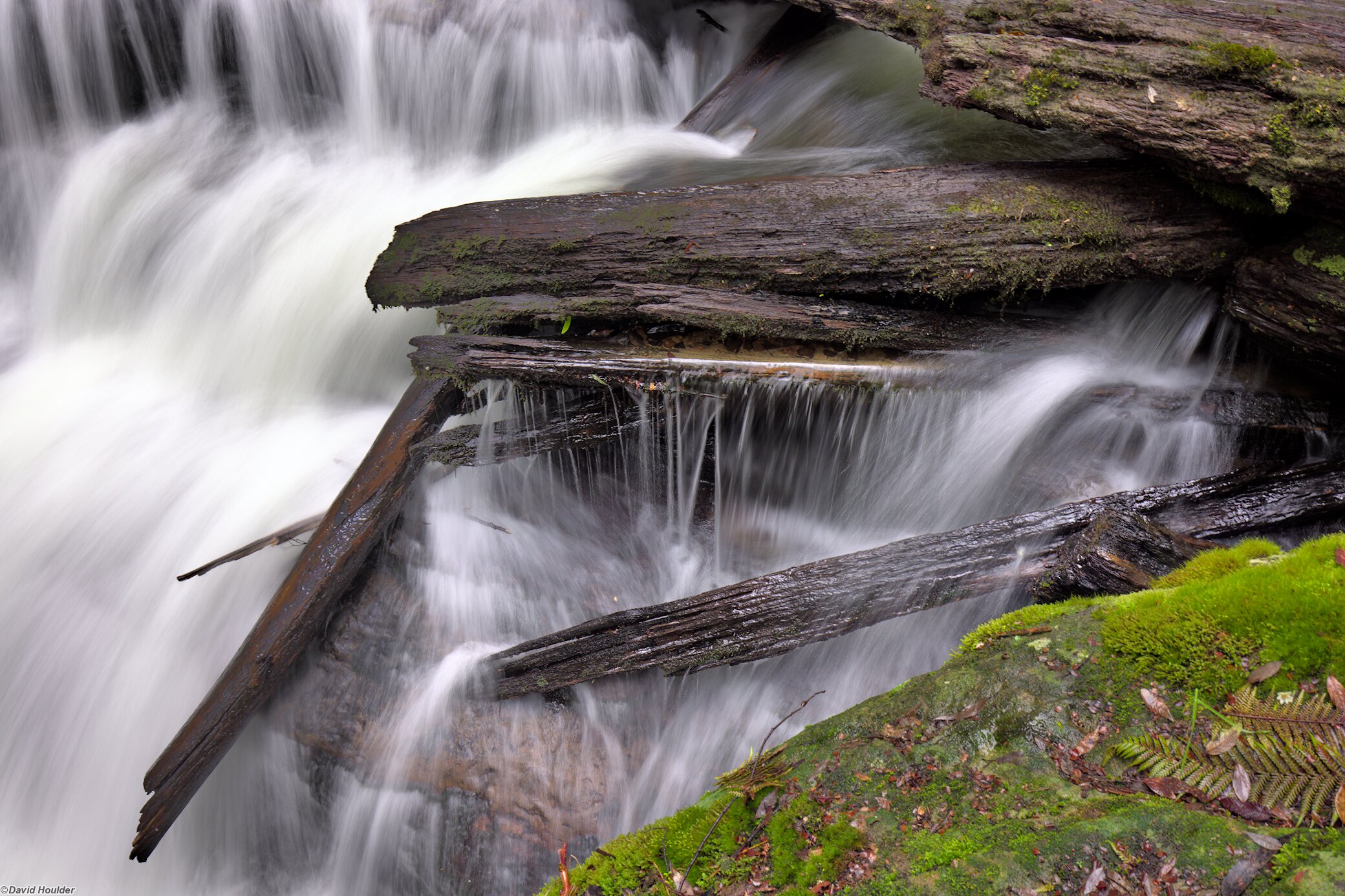 Fallen logs in the cascade