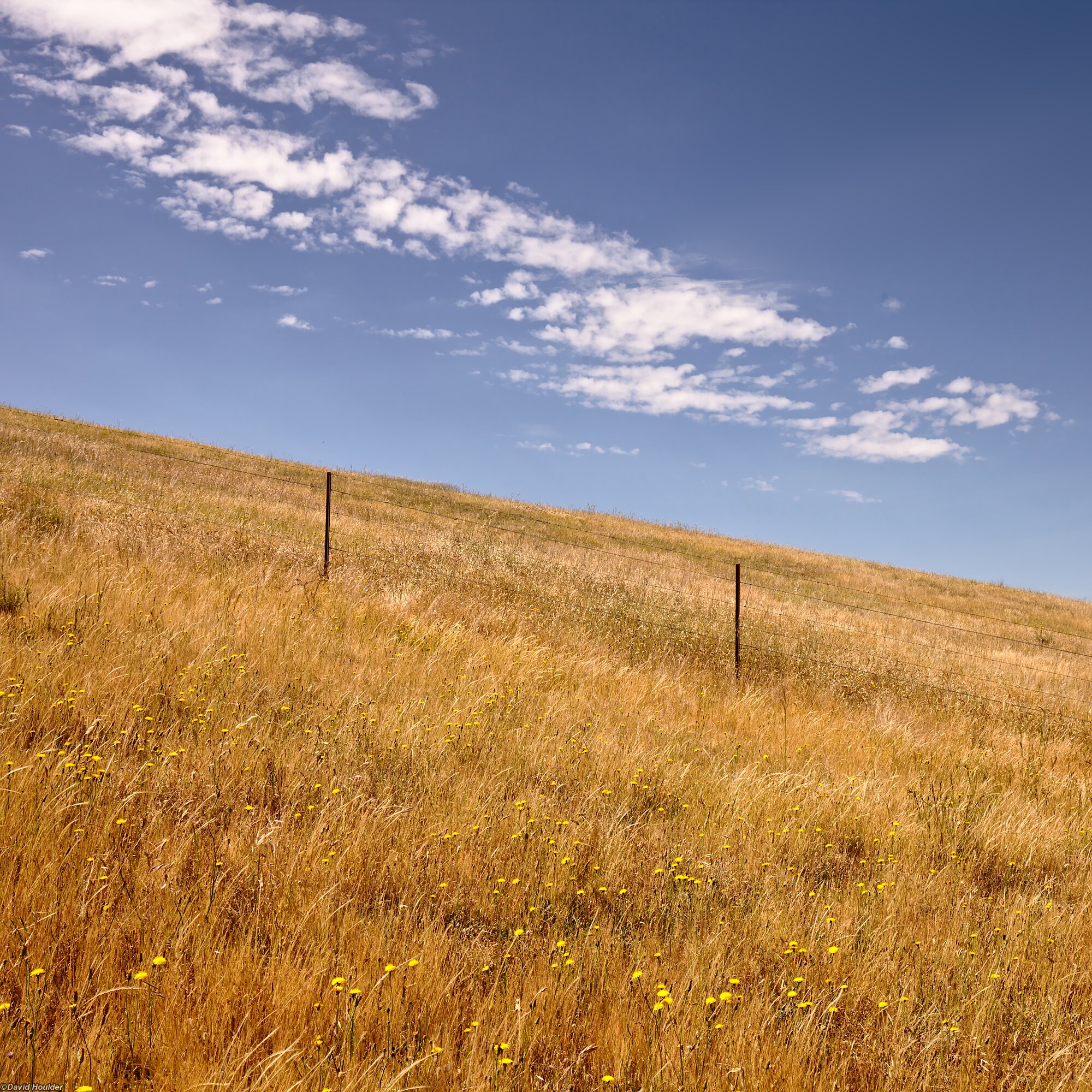 Field and sky