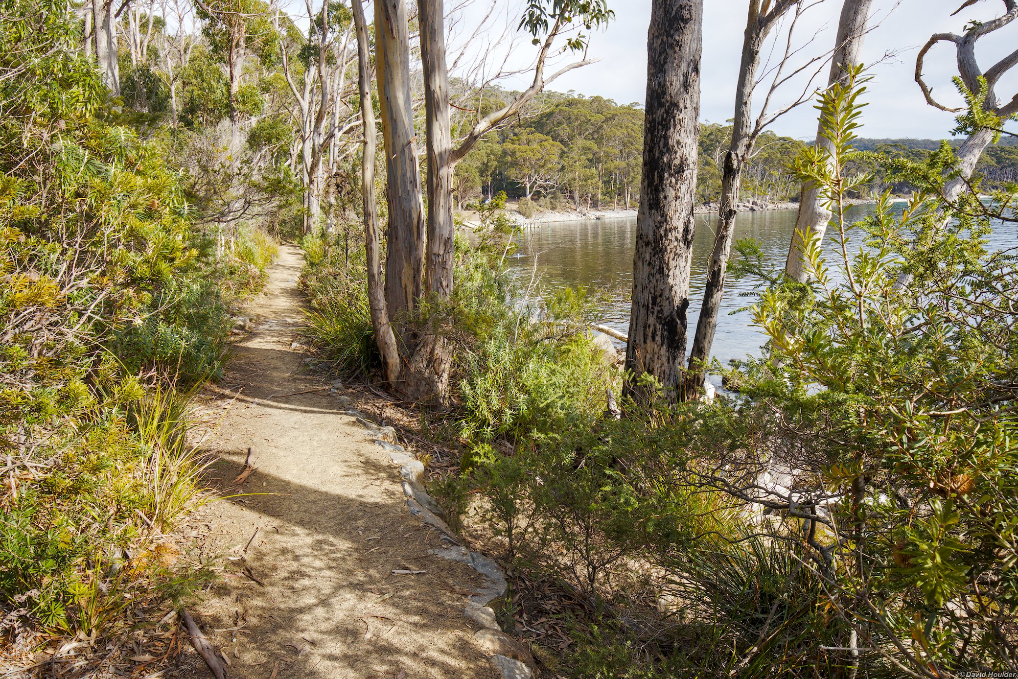 Fortescue Bay