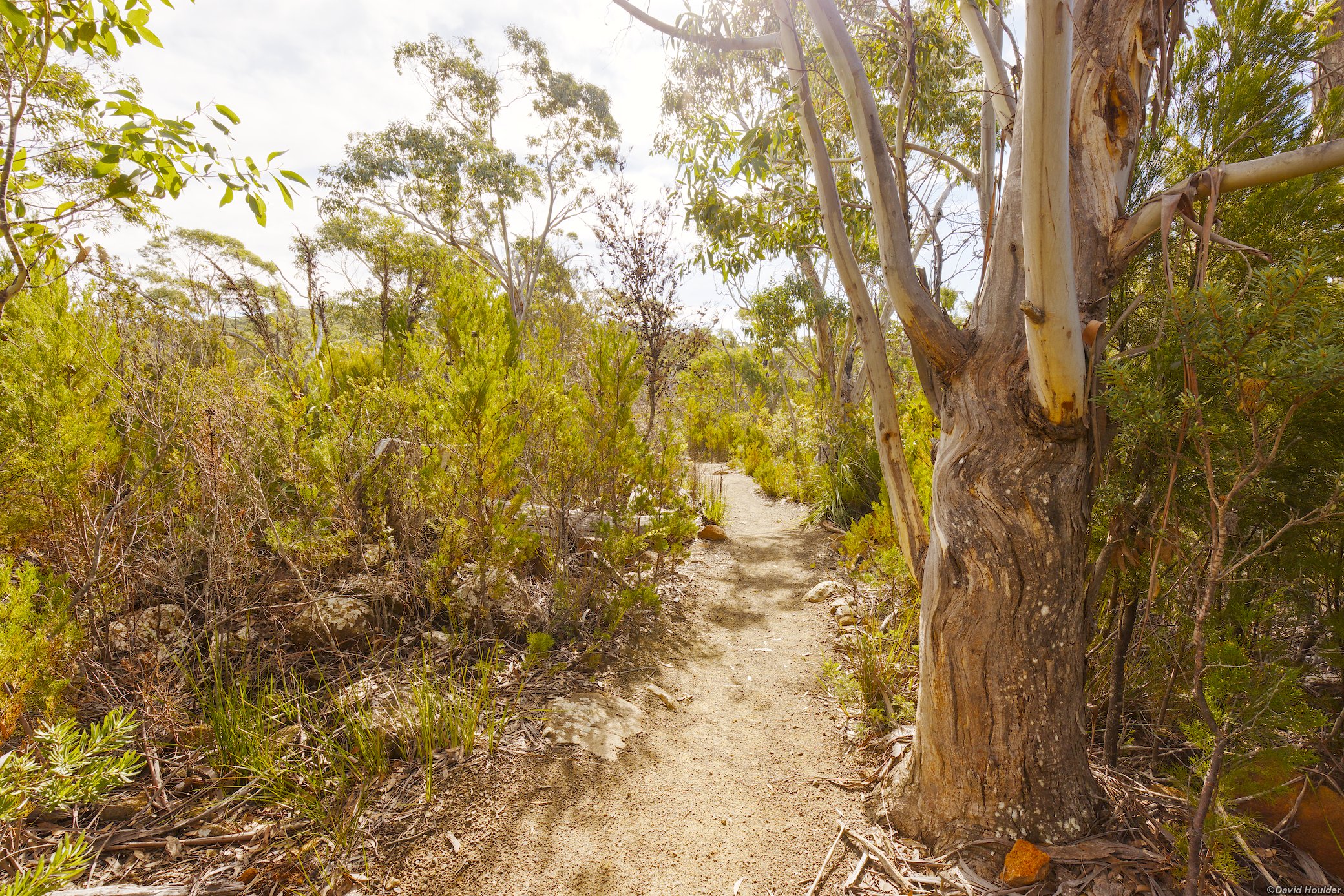 Heading to Fortescue Bay