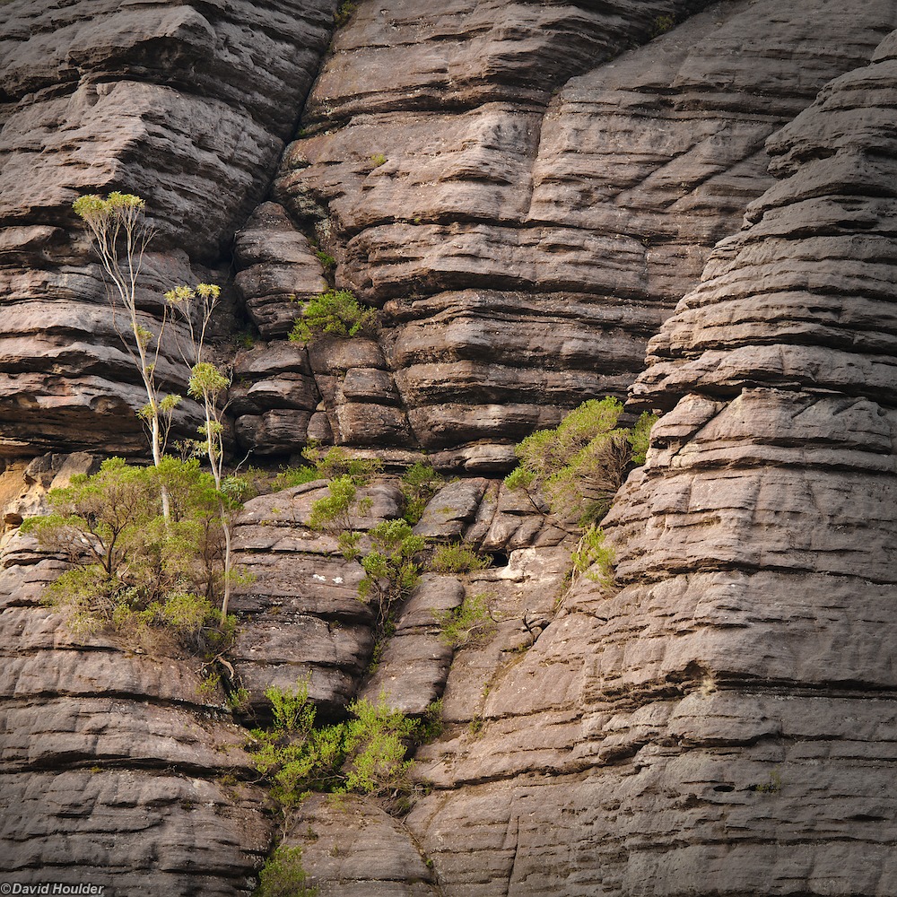 Hidden Valley cliff face