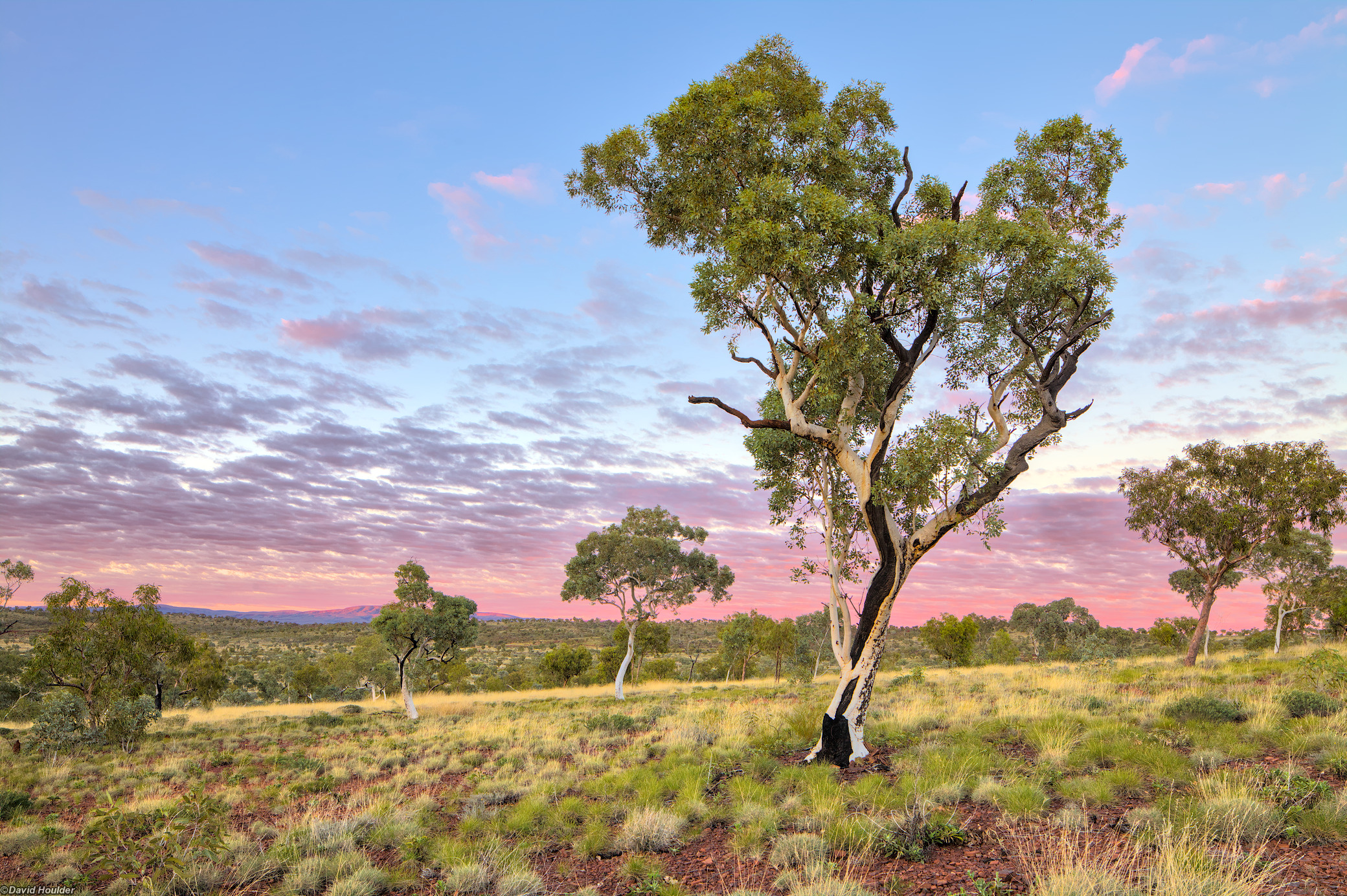 Karijini dawn