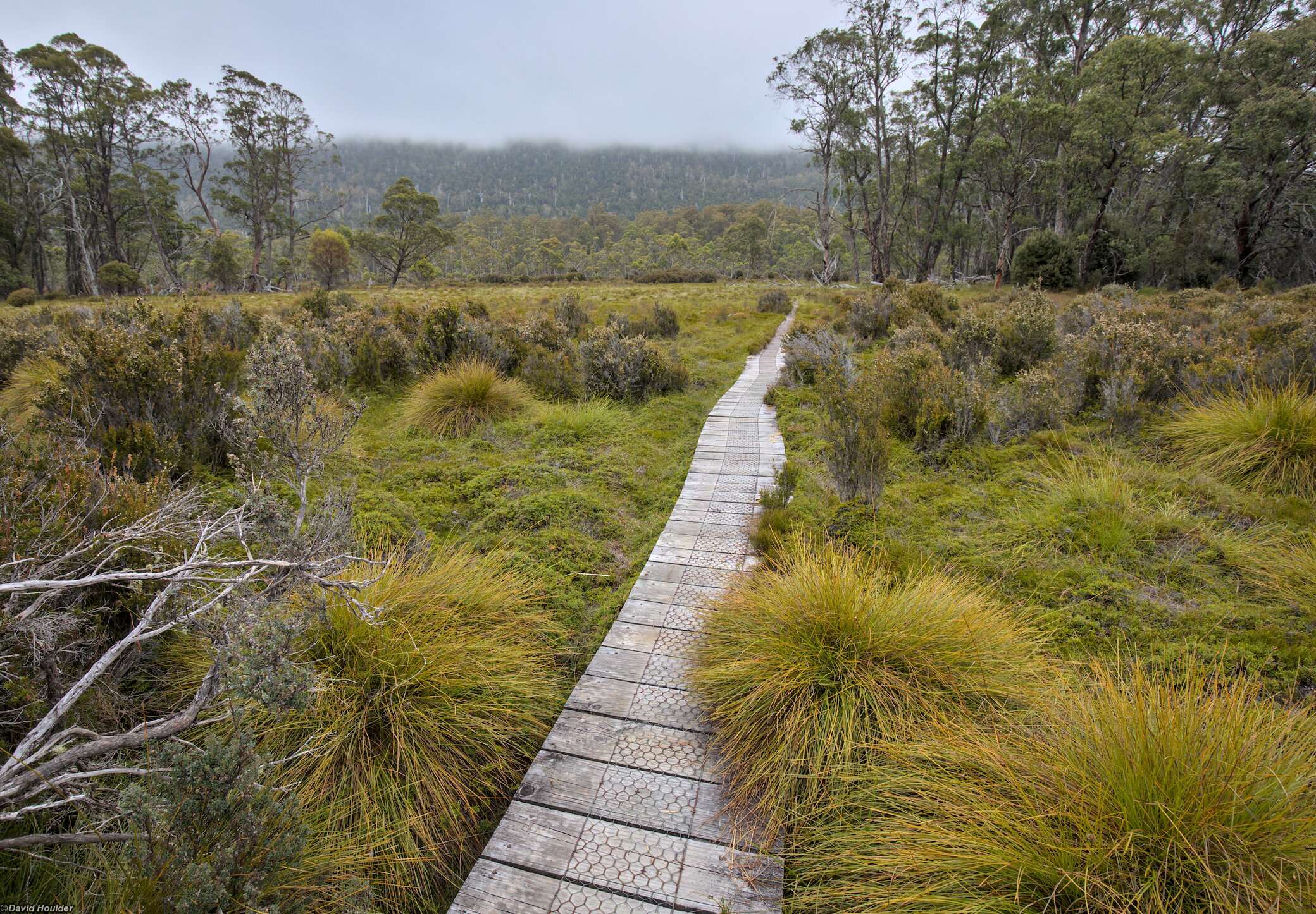 Leaving Narcissus Hut