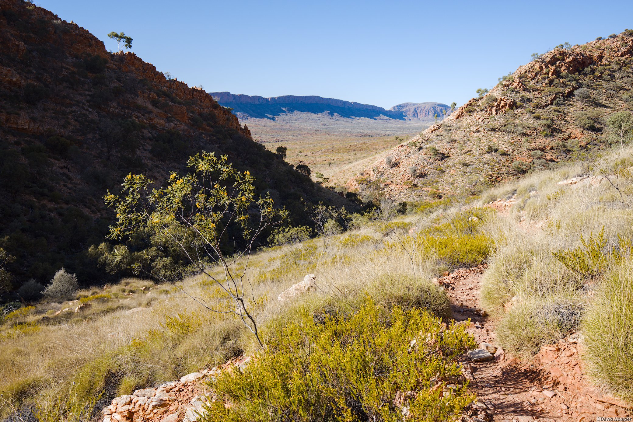 Looking north-east on the Pound Track