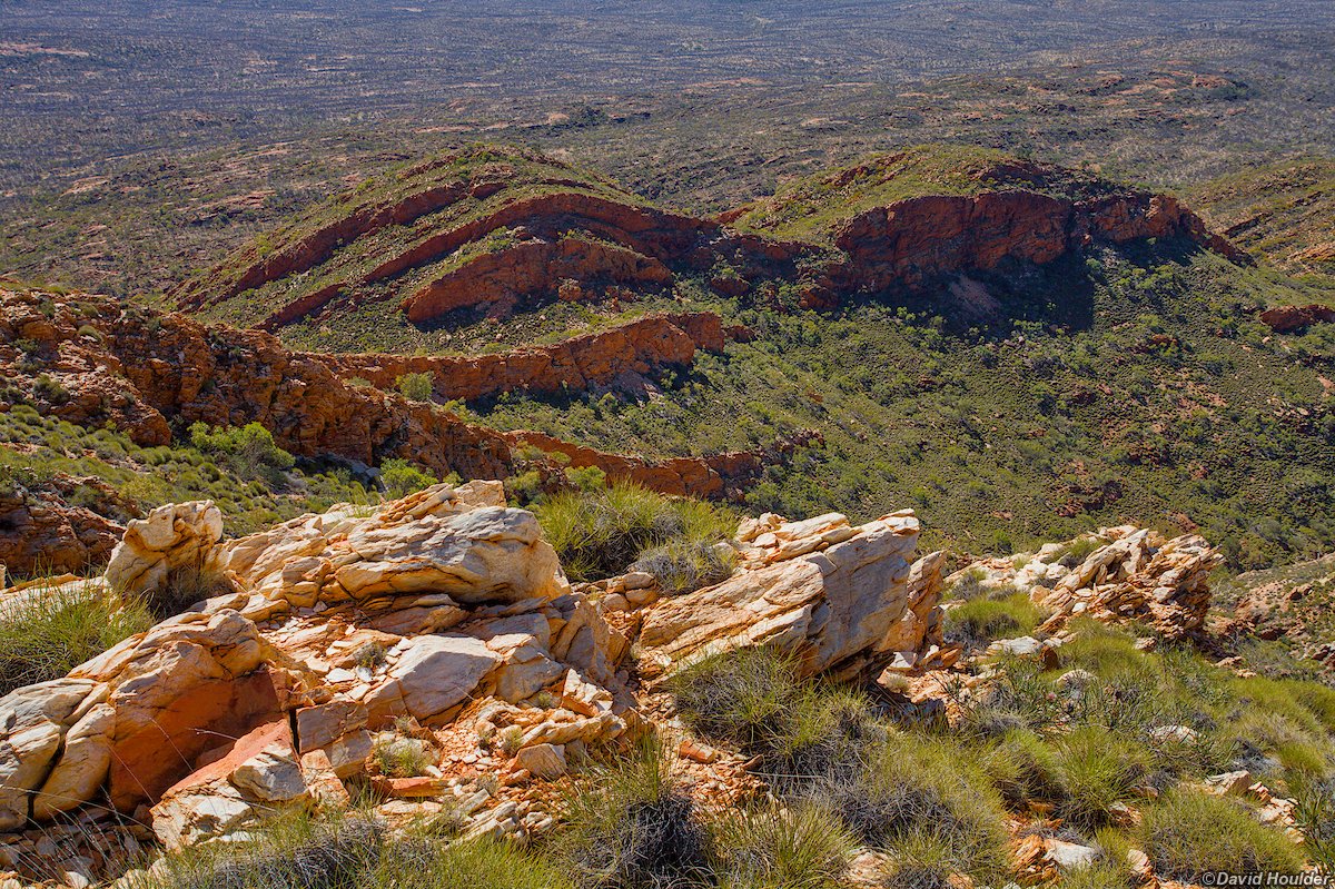 Looking north from Razorback Ridge [davidhoulder.com]
